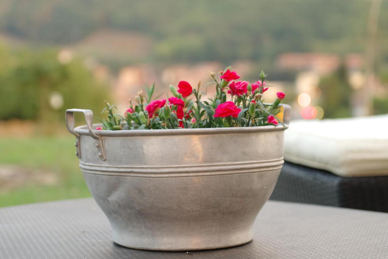 Bed and Breakfast Beb Montefratta Fratta Terme Zewnętrze zdjęcie
