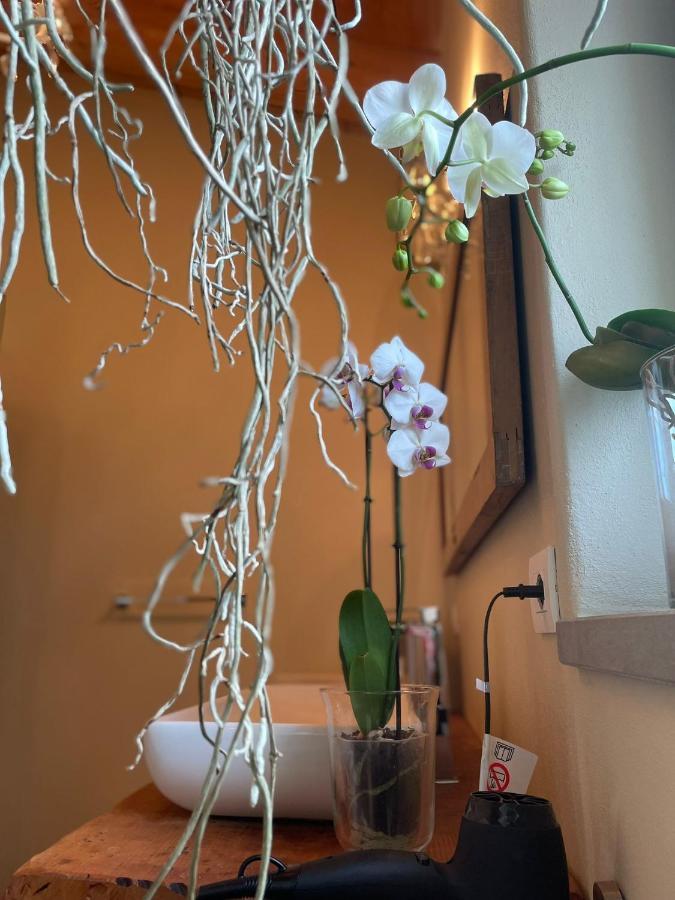 Bed and Breakfast Beb Montefratta Fratta Terme Zewnętrze zdjęcie