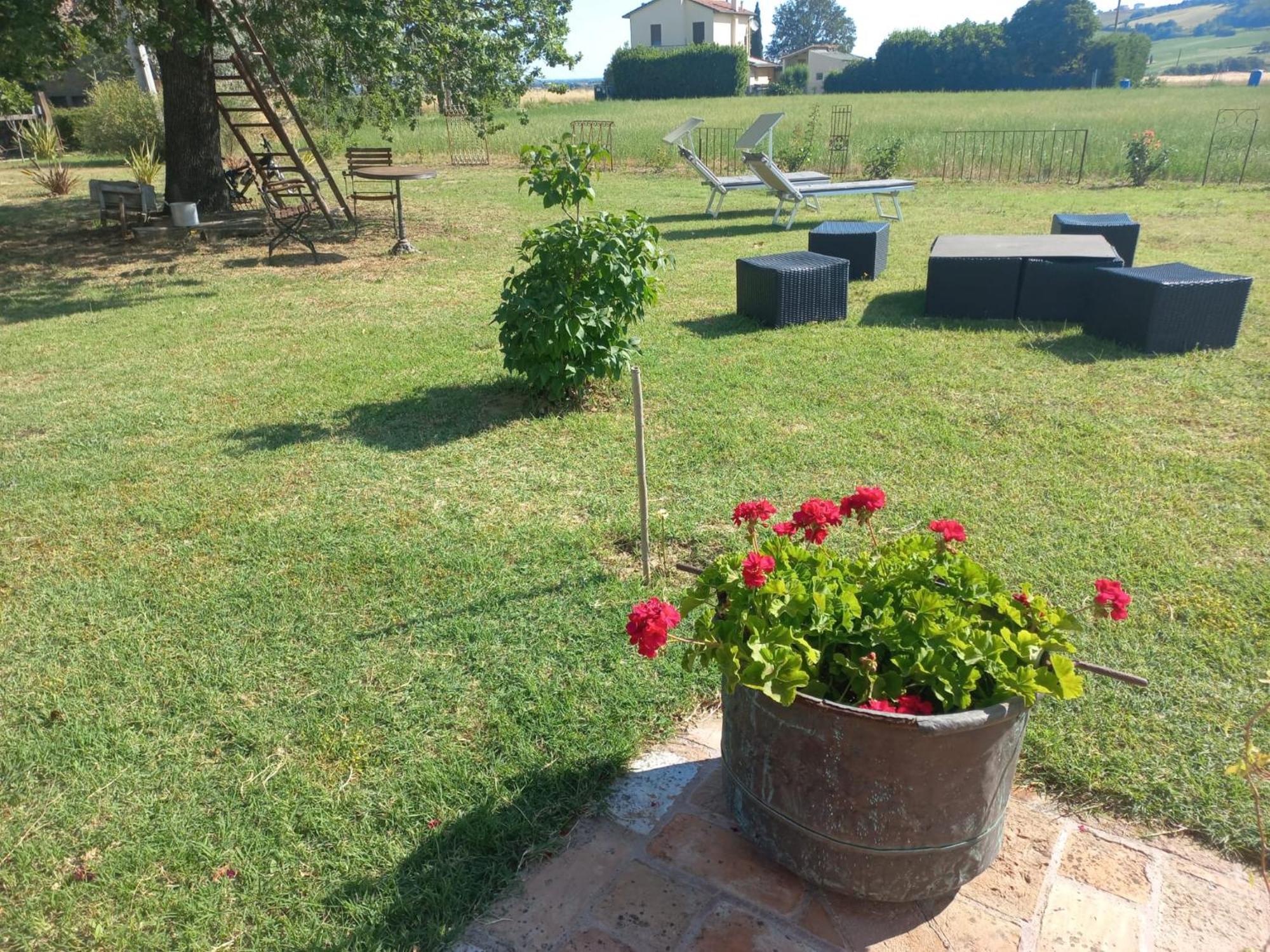Bed and Breakfast Beb Montefratta Fratta Terme Zewnętrze zdjęcie