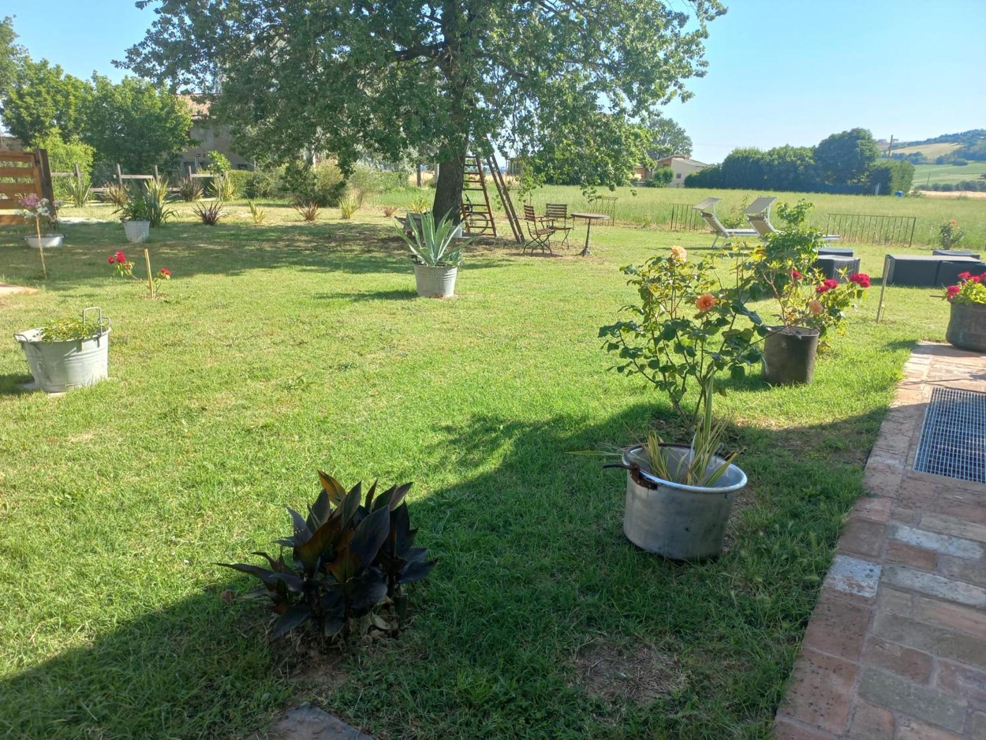 Bed and Breakfast Beb Montefratta Fratta Terme Zewnętrze zdjęcie