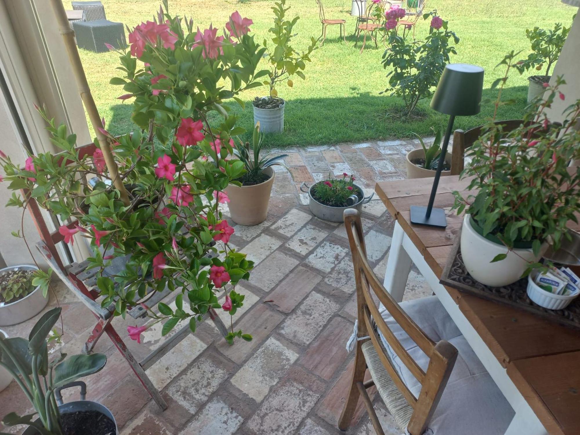 Bed and Breakfast Beb Montefratta Fratta Terme Zewnętrze zdjęcie