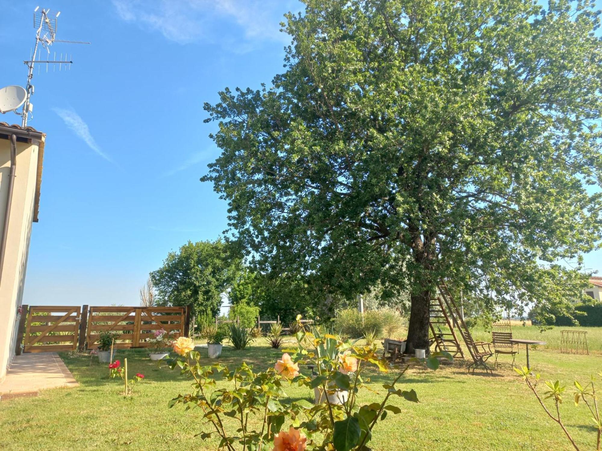 Bed and Breakfast Beb Montefratta Fratta Terme Zewnętrze zdjęcie