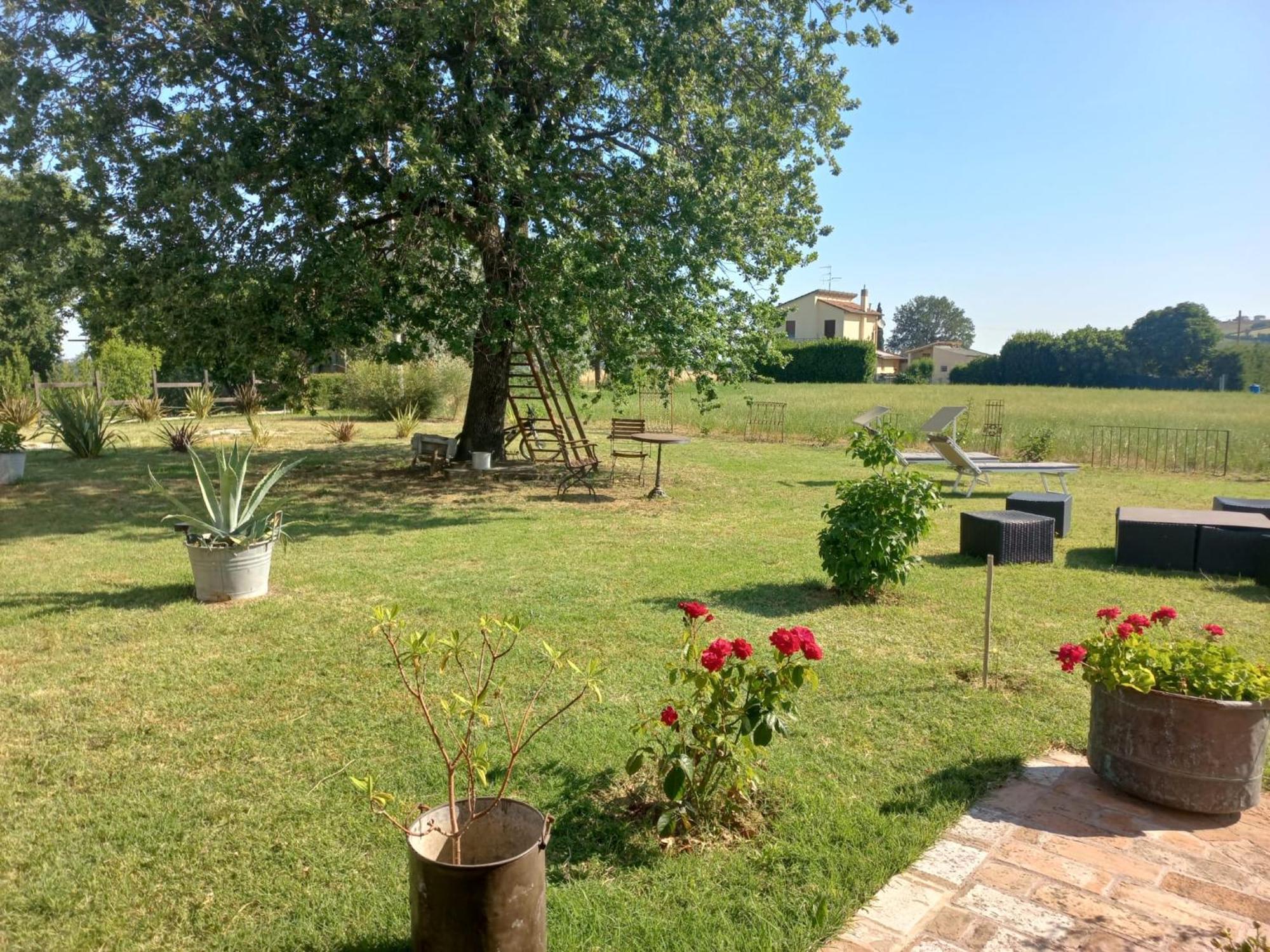 Bed and Breakfast Beb Montefratta Fratta Terme Zewnętrze zdjęcie